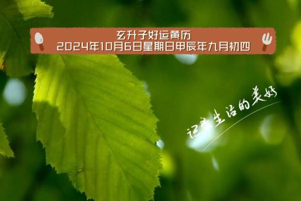 10月哪些黄道吉日适合开业搬家求好运 10月哪些黄道吉日适合开业搬家求好运
