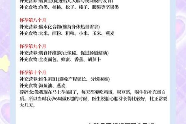 2025年8月预产期如何安排孕前检查与营养补充计划