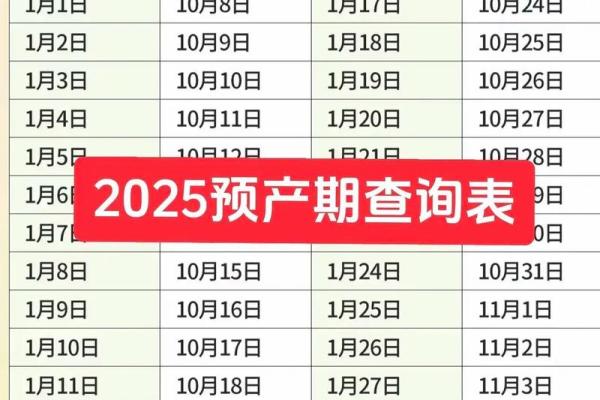 2025年8月预产期如何安排孕前检查与营养补充计划