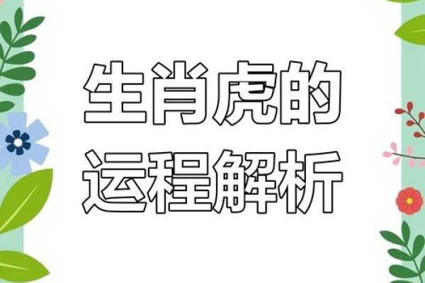 属虎人提车选日子要注意什么生肖相冲问题