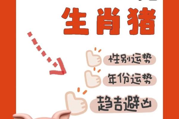 属猪的人提车选什么日子最吉利又避凶
