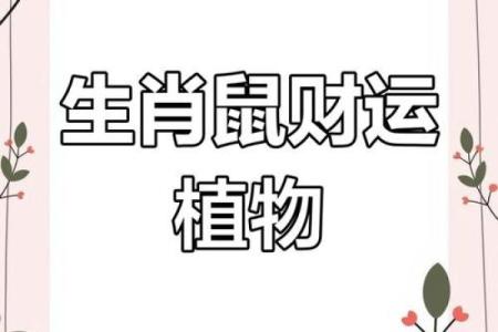 2025年属鼠人9月开业黄道吉日推荐与风水方位指南