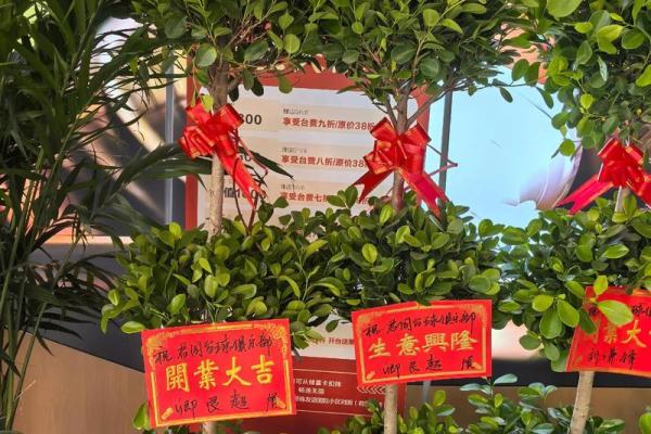 属虎开业选日子有什么讲究和禁忌