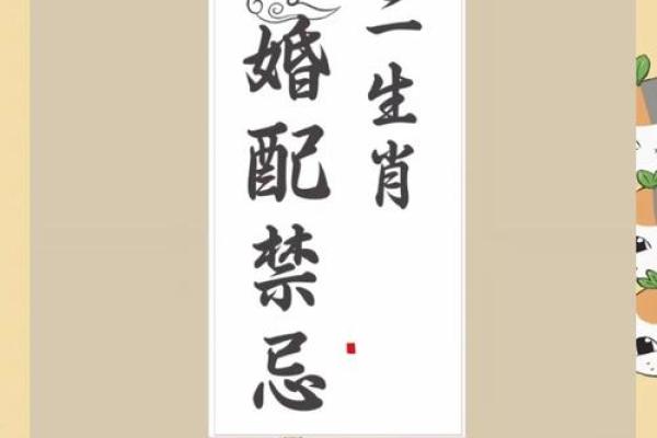 95猪男97牛女结婚最佳日期