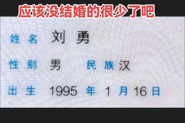95猪男97牛女结婚最佳日期