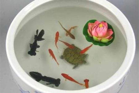 10月份挂匾择日得把眼睛擦亮了及风水方位讲究