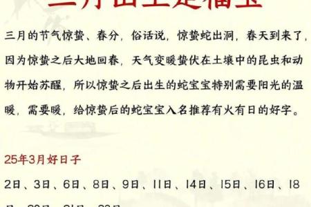 属蛇人2025本命年结婚需要注意哪些择日禁忌
