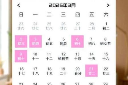 2025年8月适合装修的好日子有哪些，如何挑选最佳日期