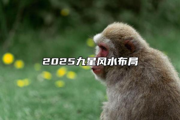 2025年9月装修开工最佳日期查询及风水得把眼睛擦亮了 2025年9月装修开工最佳日期查询及风水得把眼睛擦亮了