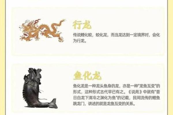 1988年属龙人在2026年运势及运程 1988年属龙人2026年运势5月份运势是什么意思？