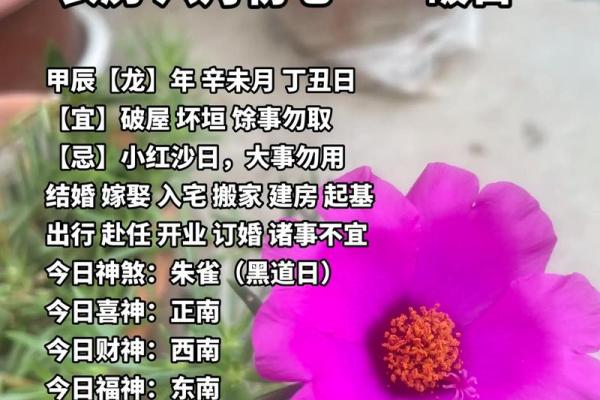 2027年12月17日适合结婚吗 2027年12月17日结婚吉日查询